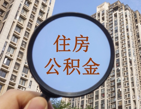 固原退休后查不到公积金明细了吗（退休后公积金查询不到原因）
